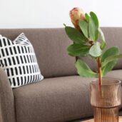 Laakso_marjut_nousiainen_niemidesign5
